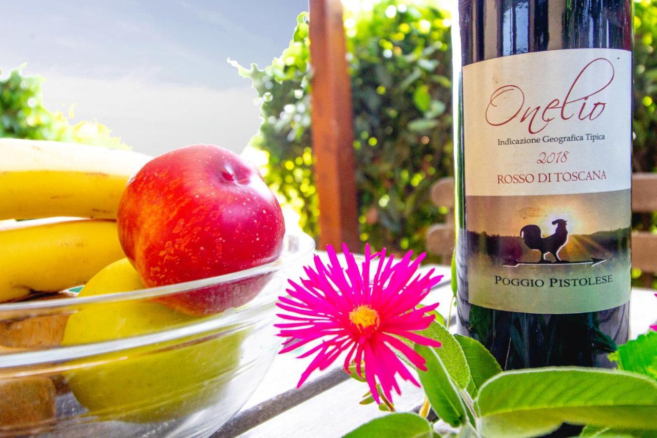 Agriturismo Poggio Pistolese 蒙塔约内 外观 照片
